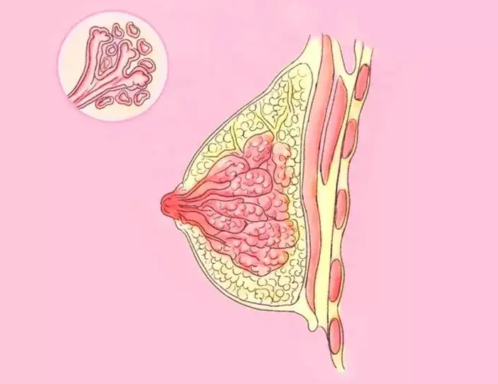 女人十有八九“乳腺增生”！12 个瑜伽体式帮你调理改善！  乳腺增生 瑜伽调理 第 1 张