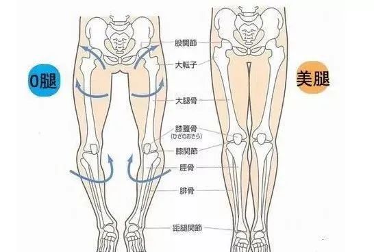 O型腿很苦恼？多练这 3 个瑜伽体式就对了√