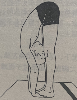 手至脚式 Pada Hastasana(hand to foot pose)  手至脚式 按摩腹部器官 改善便秘 新陈代谢 注意力集中 第 1 张