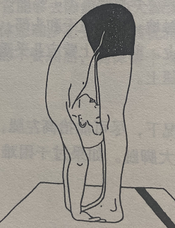 手至脚式Pada Hastasana(hand to foot pose)