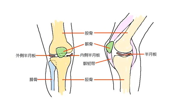 女性膝盖天生有「缺陷」！5 个瑜伽体式，快点练起来，尤其是 30 岁以后！  第 1 张