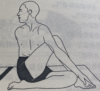 半鱼王式Ardha Matsyendrasana(half spinal twist)