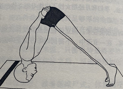 半头倒立式Bhumi Pada Mastakasana(half headstand)