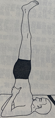 肩倒立式 Sarvangasana ( shoulder stand pose )