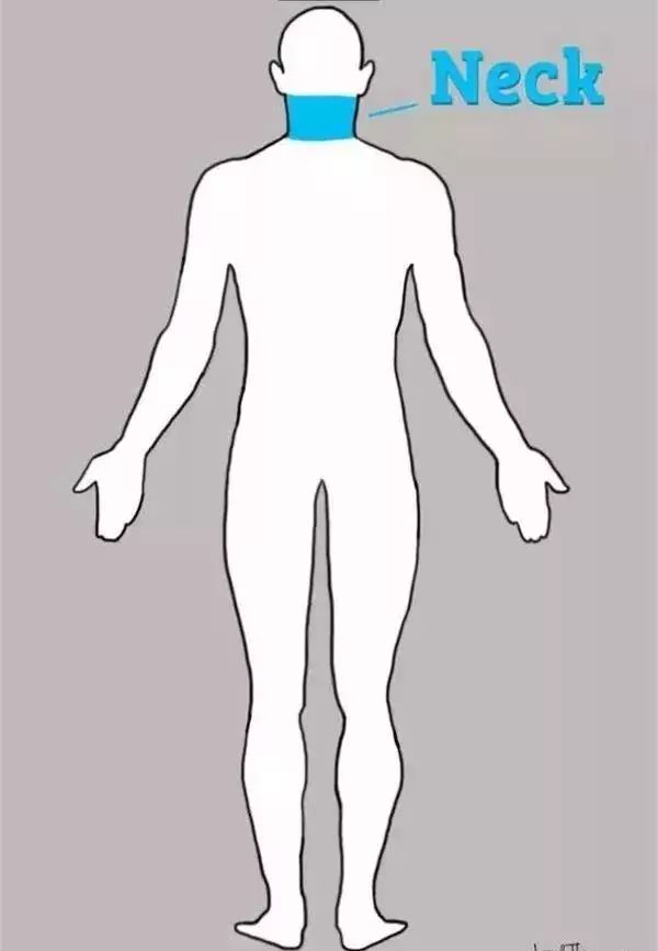 身体疼痛对照表：不同部位的疼痛隐含这么多问题！瑜伽理疗（附理疗方法）  第 3 张