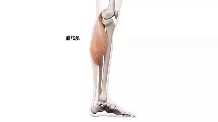 小腿肌肉僵硬紧绷？送你 3 套解决方案！  第 2 张