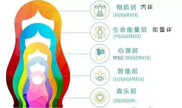 练瑜伽，我们不聊腹肌，聊腹部收束  收颔收束 腹部收束 会阴收束 瑜伽收束术 瑜伽内功 第 2 张