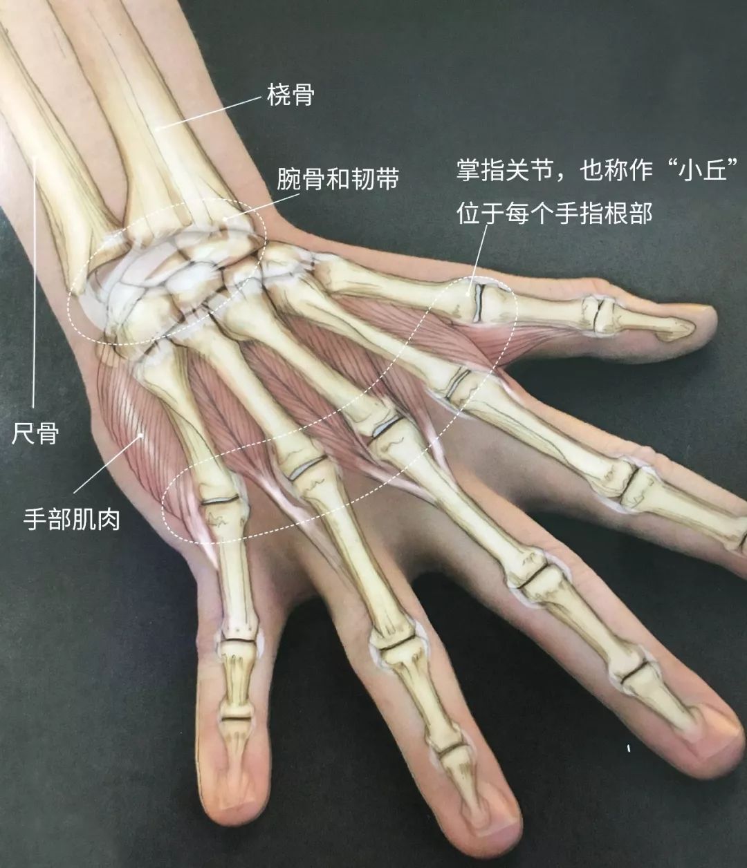 练习产生的疼痛，是这些你不注意的小细节  第 4 张