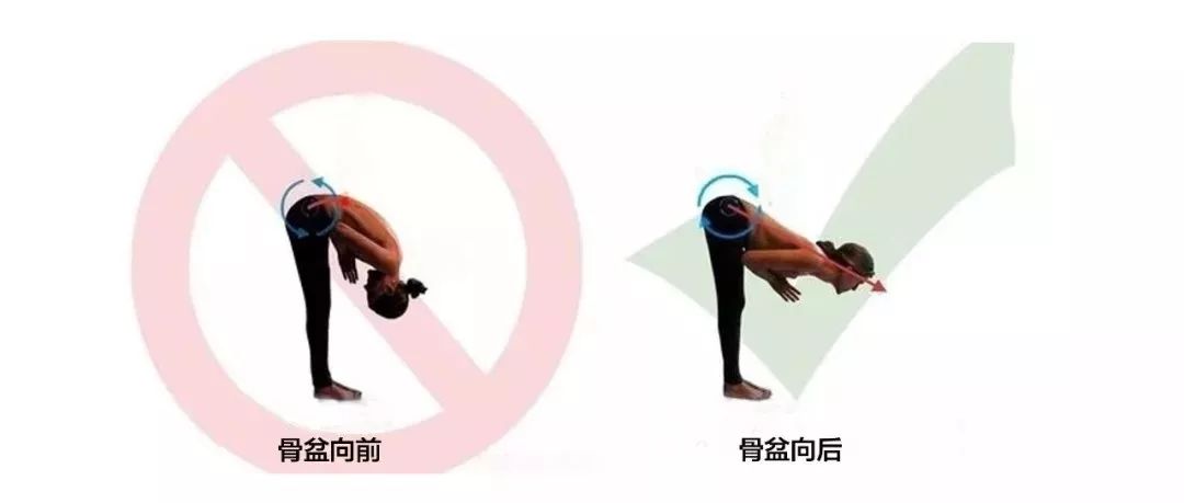 瑜伽前屈做不好，原来是有骨盆后倾的习惯！  第 1 张