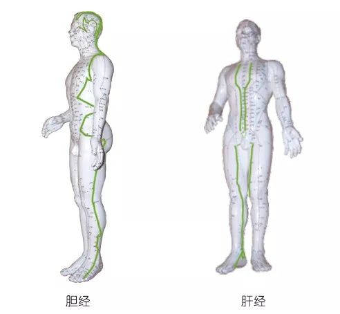 养生排毒，这套疏通肝胆经的阴瑜伽序列，一定要常练！（阴瑜伽之肝胆经的养护）