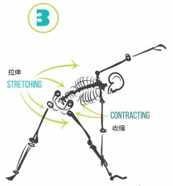 你对瑜伽侧弯练习和作用了解多少? 西安瑜伽培训 瑜伽培训 封闭式瑜伽培训 学瑜伽包食宿 瑜伽教练培训 瑜伽教练复训 第 4 张 你对瑜伽侧弯练习和作用了解多少? 西安瑜伽培训 瑜伽培训 封闭式瑜伽培训 学瑜伽包食宿 瑜伽教练培训 瑜伽教练复训 第 4 张