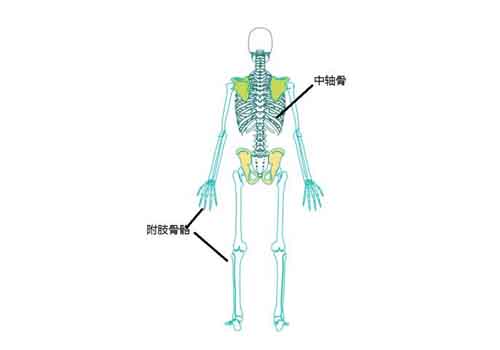 瑜伽扭转动作到底有什么好处？（瑜伽扭转动作到底有什么好处和坏处）