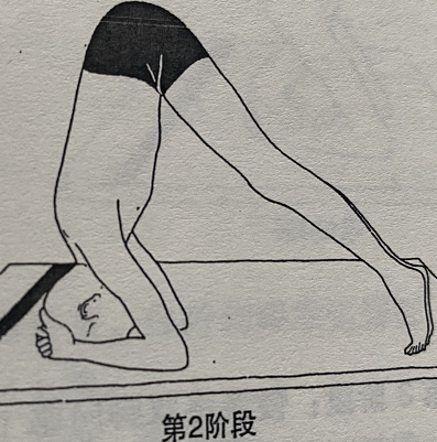 头倒立式 Sirshasana(headstand pose)  头倒立 瑜伽变化 刺激顶轮 调节身体 最好的体位法 第 2 张