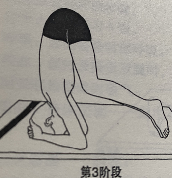 头倒立式 Sirshasana(headstand pose)  头倒立 瑜伽变化 刺激顶轮 调节身体 最好的体位法 第 3 张