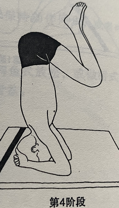 头倒立式 Sirshasana(headstand pose)  头倒立 瑜伽变化 刺激顶轮 调节身体 最好的体位法 第 4 张