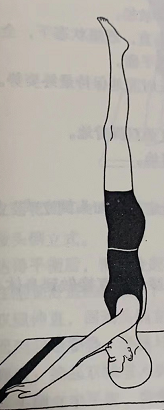 无支撑头倒立式Niralamba Sirshasana (unsupported headstand pose)