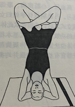 头倒立莲花式 Oordhwa Padmasana(headstand lotus pose) 半莲花式 头倒立 半莲花头倒立 第 1 张