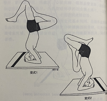 前额支撑式 Kapali Asana (forehead supported pose)  第 2 张