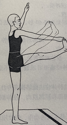 举手抓大脚趾Utthita Hasta Padangusthasana(raised hand to big toe pose)