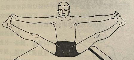 竖脊式 Merudandasana(spinal column pose)  竖脊式 便秘 肠胃蠕动 腹部器官 第 1 张