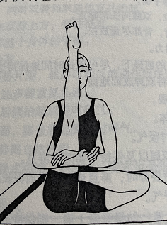 半莲花腿部伸展式 Ardha Padma Padmottanasana(half lotus leg stretch pose)  半莲花腿部伸展式 瑜伽坐姿体式 平衡感瑜伽 腹部按摩瑜伽体式 第 1 张