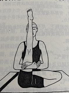 半莲花腿部伸展式Ardha Padma Padmottanasana(half lotus leg stretch pose)