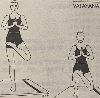 飞马式 Vatayanasana(flying horse pose)  飞马式 腿部肌肉练习 瑜伽力量习练 第 1 张