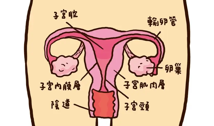 1 个超厉害的体式! 滋阴练习, 深入子宫, 越练越年轻! 花环式 第 2 张 1 个超厉害的体式! 滋阴练习, 深入子宫, 越练越年轻! 花环式 第 2 张