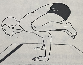 鹤禅式Baka Dhyanasana(patient crane pose)