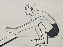 双手双臂式 Dwi Hasta Bhujasana(two hands and ams pose)  双手双臂式 瑜伽手臂力量习练 瑜伽腹部习练 第 1 张