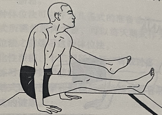 单手单臂式 Eka Hasta Bhujasana (single hand and arm pose)  瑜伽手臂力量 核心收缩 按摩腹部瑜伽 第 1 张