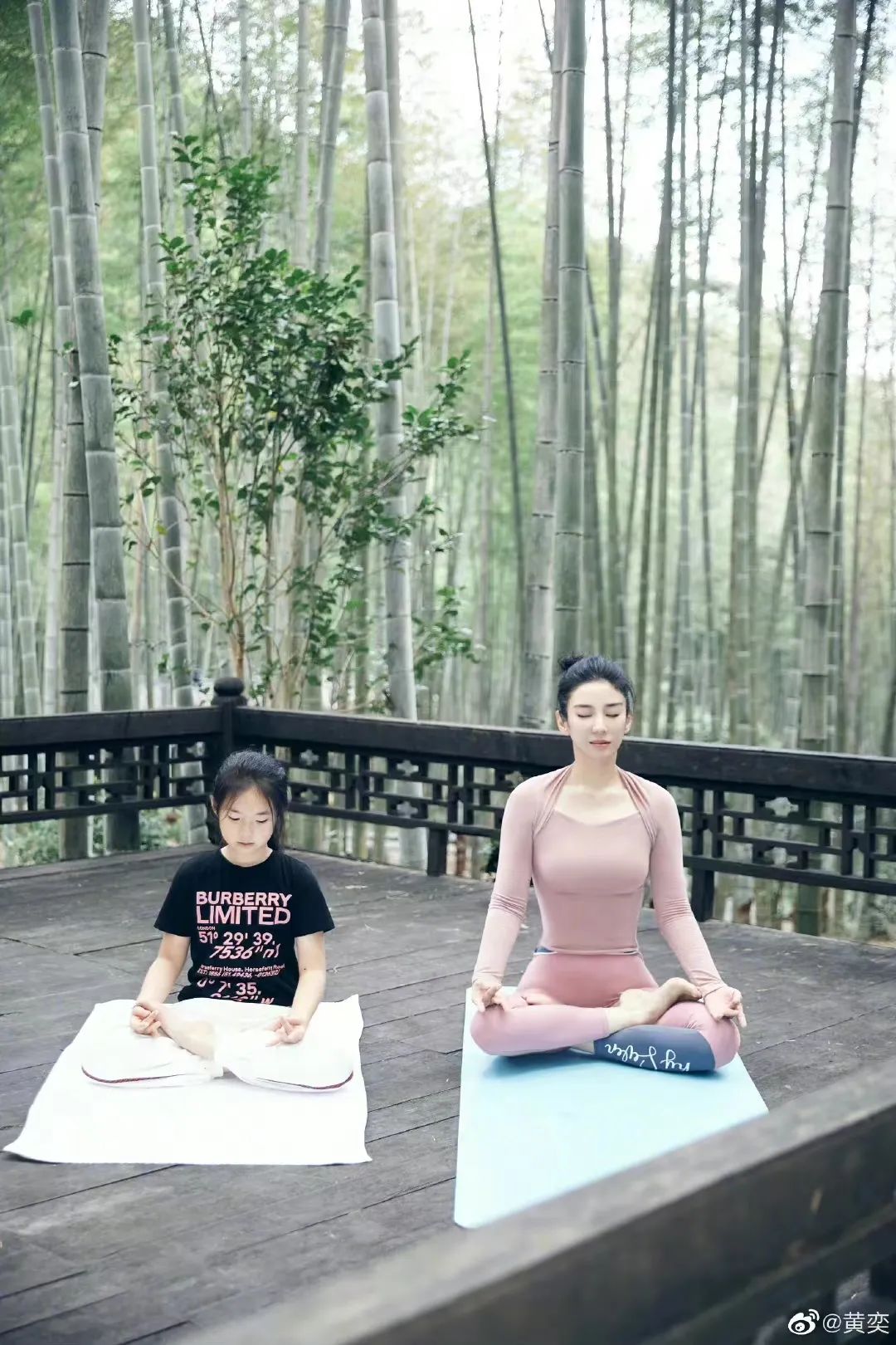 45 岁黄奕晒健身瑜伽照,网友表示:“我根本做不到这个样子”! 第 11 张 45 岁黄奕晒健身瑜伽照,网友表示:“我根本做不到这个样子”! 第 11 张