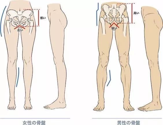 瑜伽私教老师才会教你的 12 个开髋动作,超级有效! 第 1 张 瑜伽私教老师才会教你的 12 个开髋动作,超级有效! 第 1 张