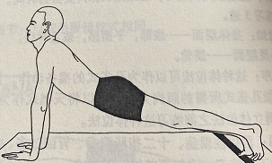 平衡式Santolanasana（balancing pose）