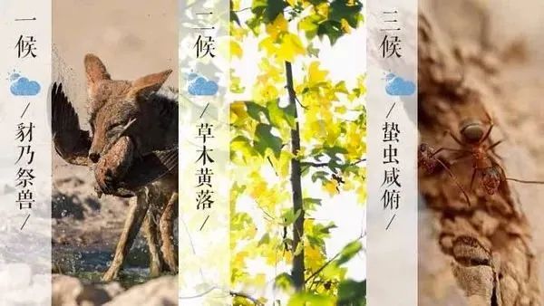霜降后养生注意事项及瑜伽应该怎么练? 瑜伽 霜降瑜伽 冬季养生 瑜伽培训 瑜伽教练 气血瑜伽 第 2 张 霜降后养生注意事项及瑜伽应该怎么练? 瑜伽 霜降瑜伽 冬季养生 瑜伽培训 瑜伽教练 气血瑜伽 第 2 张