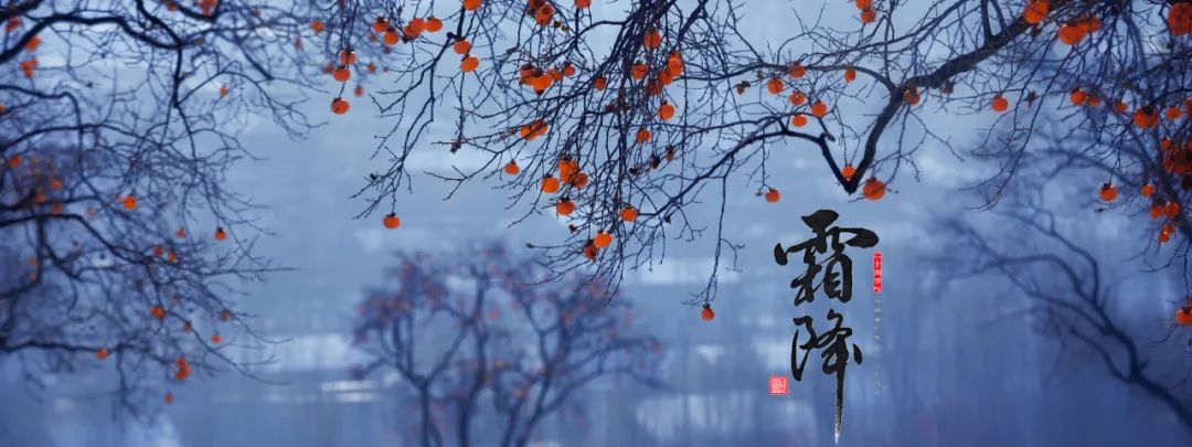 霜降后养生注意事项及瑜伽应该怎么练? 瑜伽 霜降瑜伽 冬季养生 瑜伽培训 瑜伽教练 气血瑜伽 第 4 张 霜降后养生注意事项及瑜伽应该怎么练? 瑜伽 霜降瑜伽 冬季养生 瑜伽培训 瑜伽教练 气血瑜伽 第 4 张