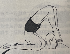 全蝗虫式Pooma Shalabhasana (full locust pose)