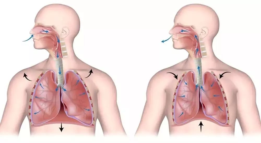 练瑜伽，瑜伽老师说的“打开胸腔”，90%的人其实都做错了！