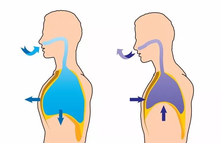 练瑜伽，瑜伽老师说的“打开胸腔”，90%的人其实都做错了！