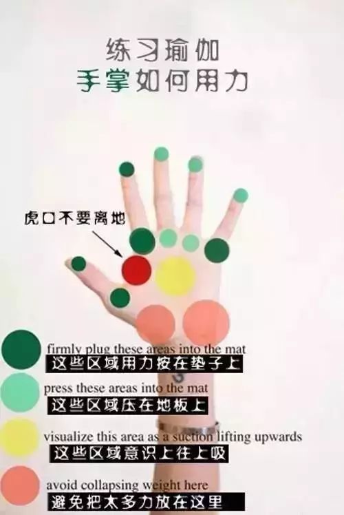 练习瑜伽时手掌的用力方法 第 1 张 练习瑜伽时手掌的用力方法 第 1 张