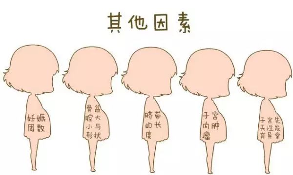 「孕妈收藏」成功调整了 2000 个胎位不正的宝妈后,我把方法汇总在了这篇文章内 第 2 张 「孕妈收藏」成功调整了 2000 个胎位不正的宝妈后,我把方法汇总在了这篇文章内 第 2 张