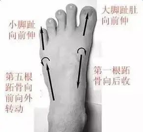 刚刚才知道,练瑜伽“张开脚趾”,竟然那么重要! 第 6 张 刚刚才知道,练瑜伽“张开脚趾”,竟然那么重要! 第 6 张