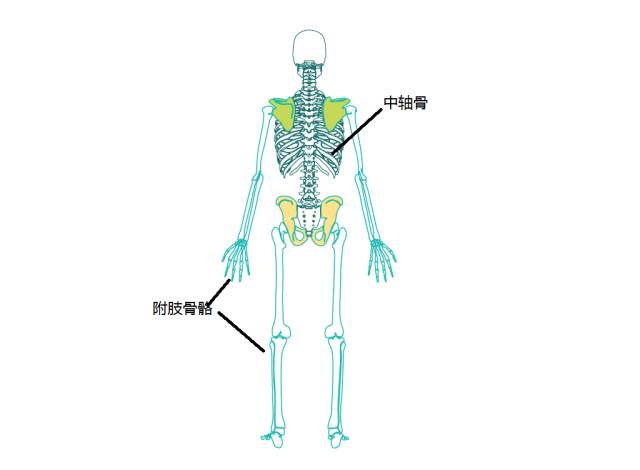 扭转体式，重新整合你的身体错位结构！（躺着扭转的体式）