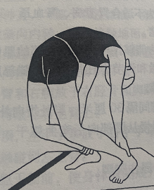 背式 Prishthasana (back pose)