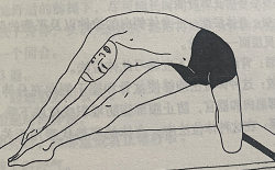 门闩式 Parighasana (beam or cross-bar pose)  躯干 身体 体位法 门闩式 Parighasana beam pose 第 1 张