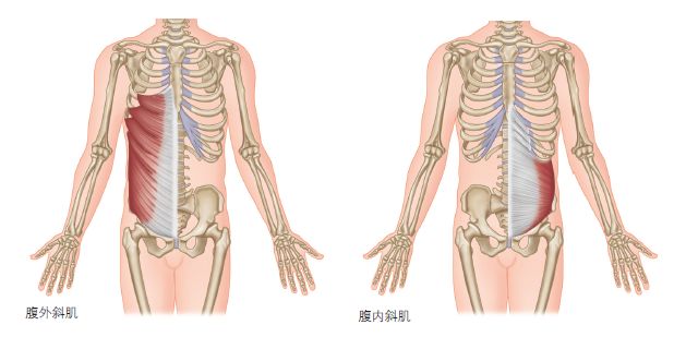 “久坐成疾”真的不是说说而已,一套瑜伽体式帮你松解! 肌肉 脊椎 身体 双手 脊柱 腰椎 双脚 第 10 张 “久坐成疾”真的不是说说而已,一套瑜伽体式帮你松解! 肌肉 脊椎 身体 双手 脊柱 腰椎 双脚 第 10 张