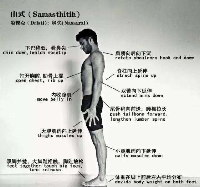 为什么瑜伽习练首先从站立山式开始?山式有什么好处?瑜伽山式站姿动作讲解 第 2 张 为什么瑜伽习练首先从站立山式开始?山式有什么好处?瑜伽山式站姿动作讲解 第 2 张