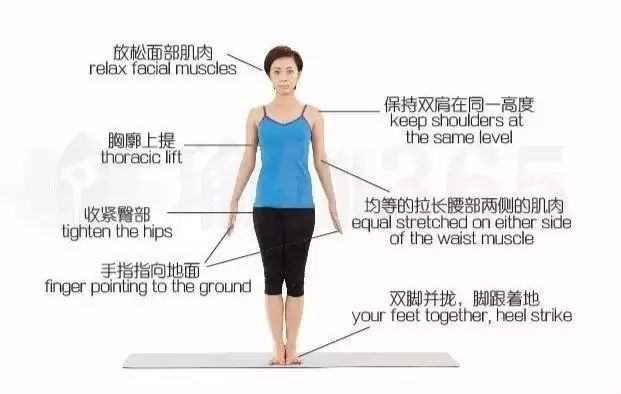 为什么瑜伽习练首先从站立山式开始?山式有什么好处?瑜伽山式站姿动作讲解 第 6 张 为什么瑜伽习练首先从站立山式开始?山式有什么好处?瑜伽山式站姿动作讲解 第 6 张