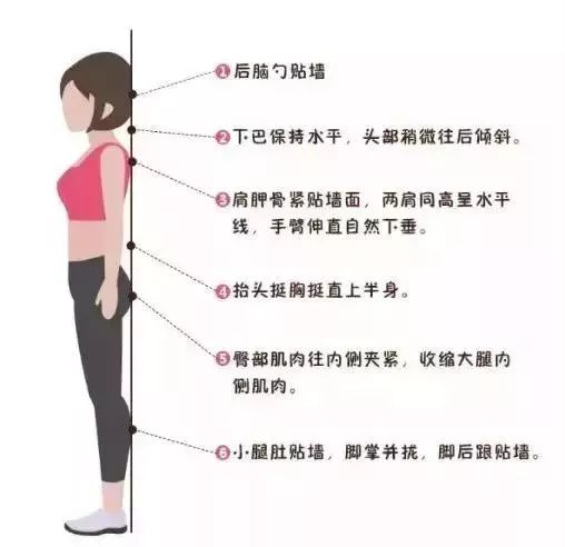 为什么瑜伽习练首先从站立山式开始?山式有什么好处?瑜伽山式站姿动作讲解 第 7 张 为什么瑜伽习练首先从站立山式开始?山式有什么好处?瑜伽山式站姿动作讲解 第 7 张