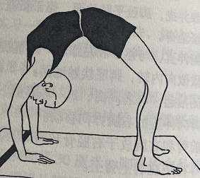 轮式 Chakrasana (wheel pose)  头部 双脚 双手 轮式 脊柱 Chakrasana wheel pose 后弯 第 1 张